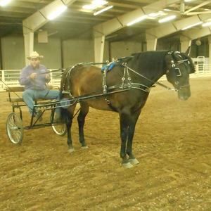 Meet your Posher, Eric